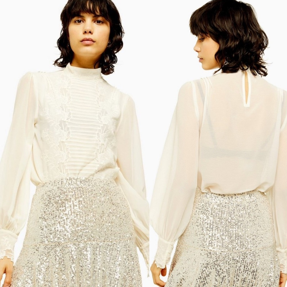 Topshop Sheer Long Sleeve Embroidery Top